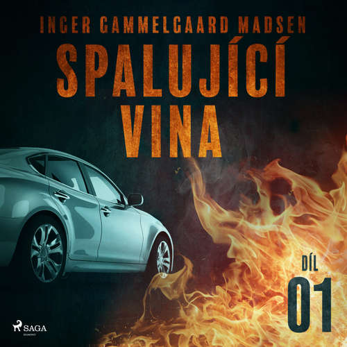 Audiokniha Spalující vina - Díl 1 - Inger Gammelgaard Madsen - Libor Terš