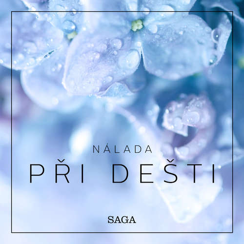 Audiokniha Nálada – Při dešti - Rasmus Broe - Rasmus Broe Audiokniha Nálada – Při dešti - Rasmus Broe - Rasmus Broe