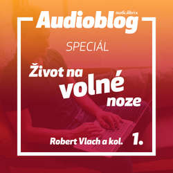 Audiokniha Na volné noze Speciál – Nemít prachy? - Robert Vlach - Martin Vlček