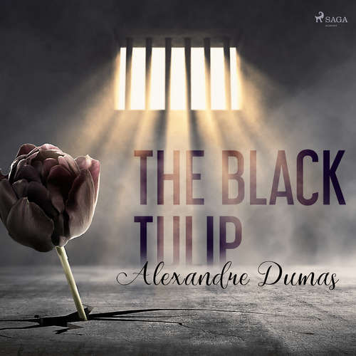 Audiobook The Black Tulip (EN) - Alexandre Dumas - Gail Timmerman Vaughan Audiobook The Black Tulip (EN) - Alexandre Dumas - Gail Timmerman Vaughan