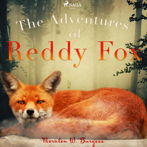 Audiobook The Adventures of Reddy Fox (EN) - Thornton W. Burgess - John Lieder Audiobook The Adventures of Reddy Fox (EN) - Thornton W. Burgess - John Lieder