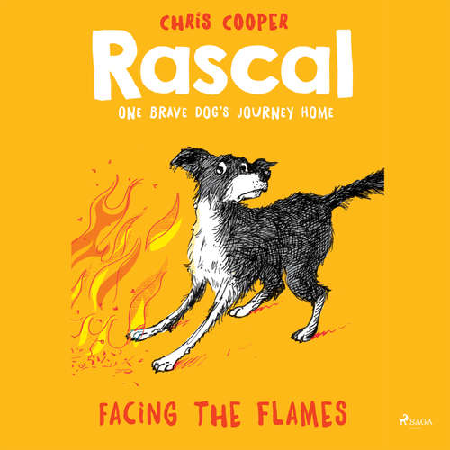 Audiobook Rascal 4 - Facing the Flames (EN) - Chris Cooper - Jennifer Wagstaffe