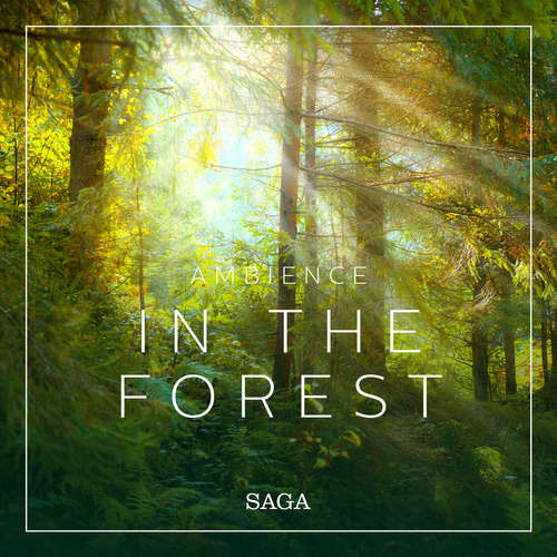 Audiobook Ambience - In the Forest (EN) - Rasmus Broe - Rasmus Broe Audiobook Ambience - In the Forest (EN) - Rasmus Broe - Rasmus Broe