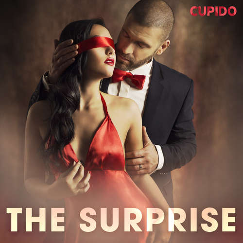 Audiobook The surprise (EN) - Cupido And Others - Alessandra Anderson Audiobook The surprise (EN) - Cupido And Others - Alessandra Anderson