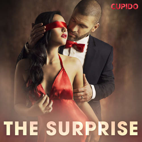 Audiobook The surprise (EN) - Cupido And Others - Alessandra Anderson