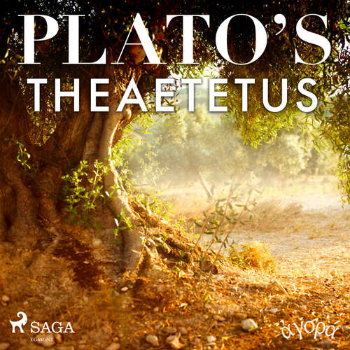 Audiobook Plato’s Theaetetus (EN) - Platón - William Sigalis