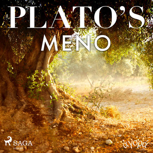 Audiobook Plato’s Meno (EN) - Platón - William Sigalis