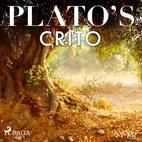 Audiobook Plato’s Crito (EN) - Platón - William Sigalis