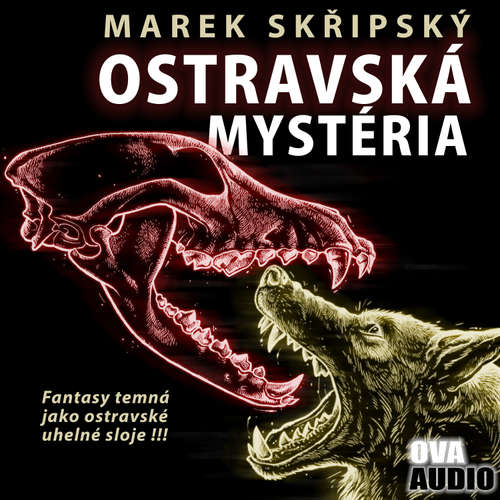 Audiokniha Ostravská mystéria - Marek Skřipský - David Viktora