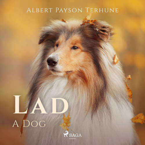 Audiobook Lad: A Dog (EN) - Albert Payson Terhune - Greg Giordano Audiobook Lad: A Dog (EN) - Albert Payson Terhune - Greg Giordano