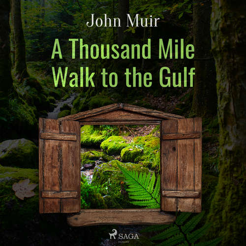 Audiobook A Thousand Mile Walk to the Gulf (EN) - John Muir - Mary Ann Spiegel Audiobook A Thousand Mile Walk to the Gulf (EN) - John Muir - Mary Ann Spiegel