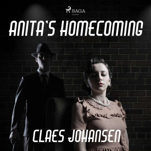 Audiobook Anita’s Homecoming (EN) - Claes Johansen - Geri Allen