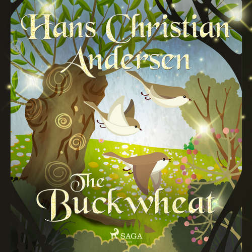 Audiobook The Buckwheat (EN) - Hans Christian Andersen - Alex Lehman Audiobook The Buckwheat (EN) - Hans Christian Andersen - Alex Lehman