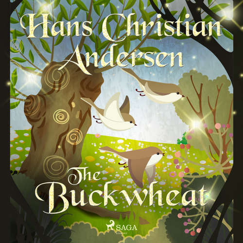 Audiobook The Buckwheat (EN) - Hans Christian Andersen - Alex Lehman