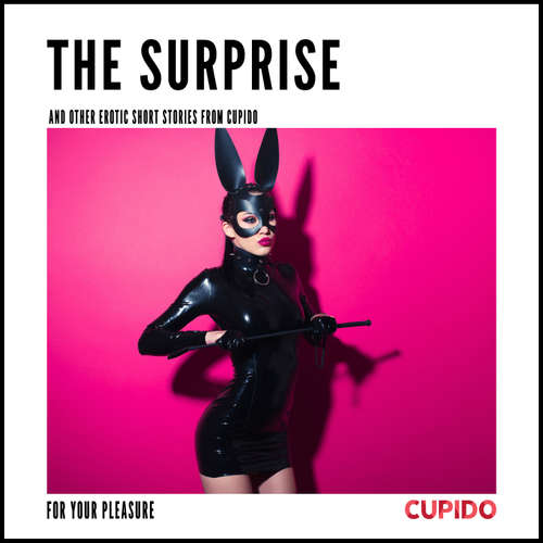 Audiobook The Surprise - and other erotic short stories from Cupido (EN) - – Cupido - Alessandra Anderson