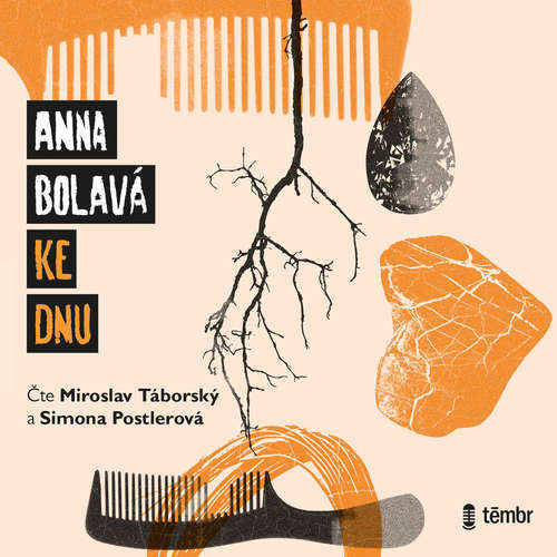 Audiokniha Ke dnu - Anna Bolavá - Miroslav Táborský Audiokniha Ke dnu - Anna Bolavá - Miroslav Táborský