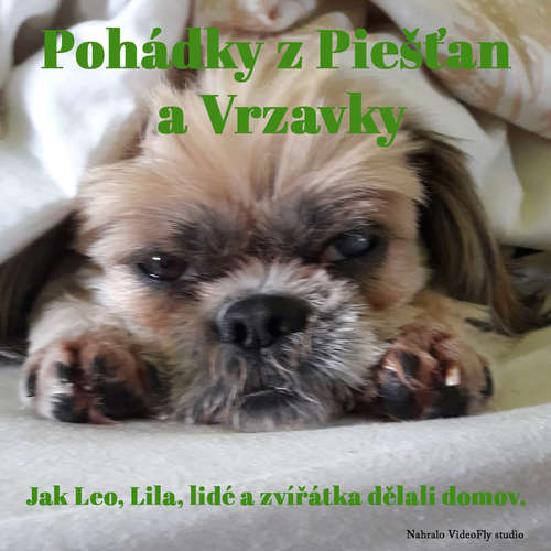 Audiokniha Pohádky z Piešťan a Vrzavky - Waser Gegmen - Waser Gegmen Audiokniha Pohádky z Piešťan a Vrzavky - Waser Gegmen - Waser Gegmen