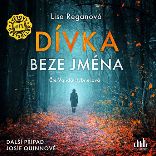 Audiokniha Dívka beze jména - Lisa Reganová - Vanda Hybnerová Audiokniha Dívka beze jména - Lisa Reganová - Vanda Hybnerová