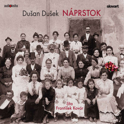 Audiokniha Náprstok - Dušan Dušek - František Kovár Audiokniha Náprstok - Dušan Dušek - František Kovár