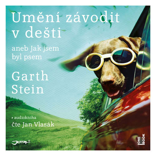 Audiokniha Umění závodit v dešti - Garth Stein - Jan Vlasák