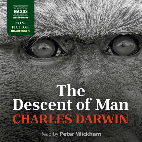 Audiobook The Descent of Man (EN) - Charles Darwin - Peter Wickham