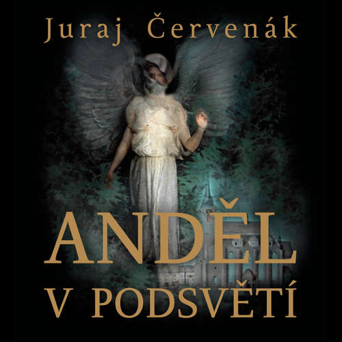 Audiokniha Anděl v podsvětí - Juraj Červenák - Marek Holý