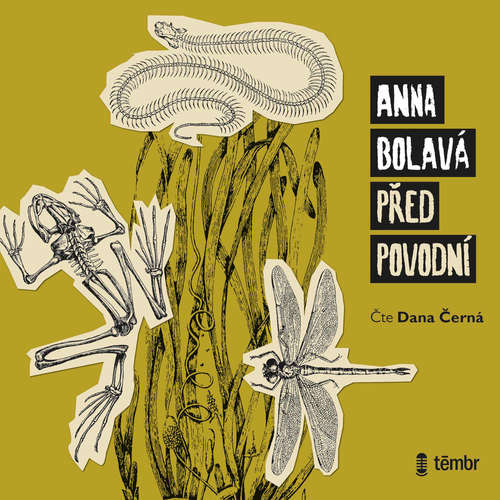 Audiokniha Před povodní - Anna Bolavá - Dana Černá