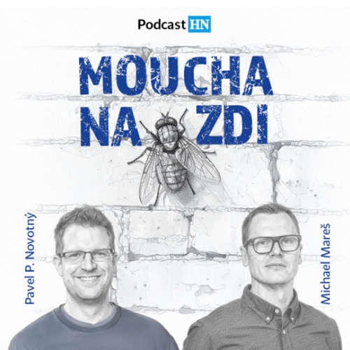 Moucha na zdi #4: Rok pádů dluhopisových hráčů a investičních fondů. Jak v moři emitentů poznat další RSBC nebo Solek?Moucha na zdi_dil4_audio