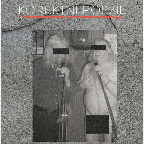 Korektní poezie