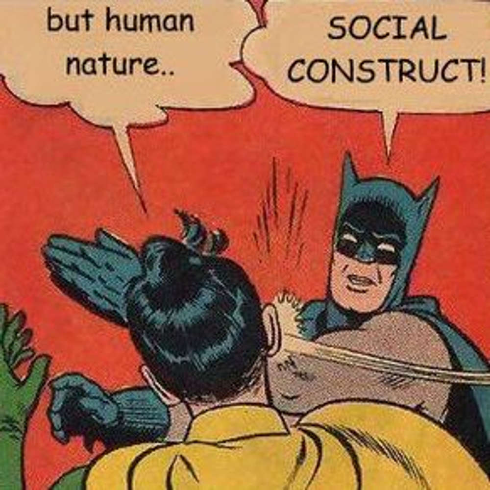 33. Pravidelná dávka - Sociálny konštrukt