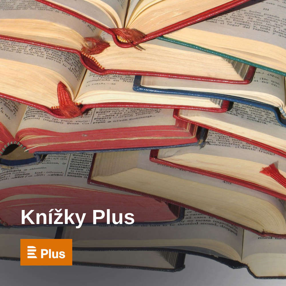 Knížky Plus - Jaké otázky klade v románu Navrátilka prozaička Donatella Di Pietrantonio?