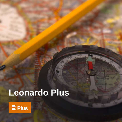 Leonardo Plus