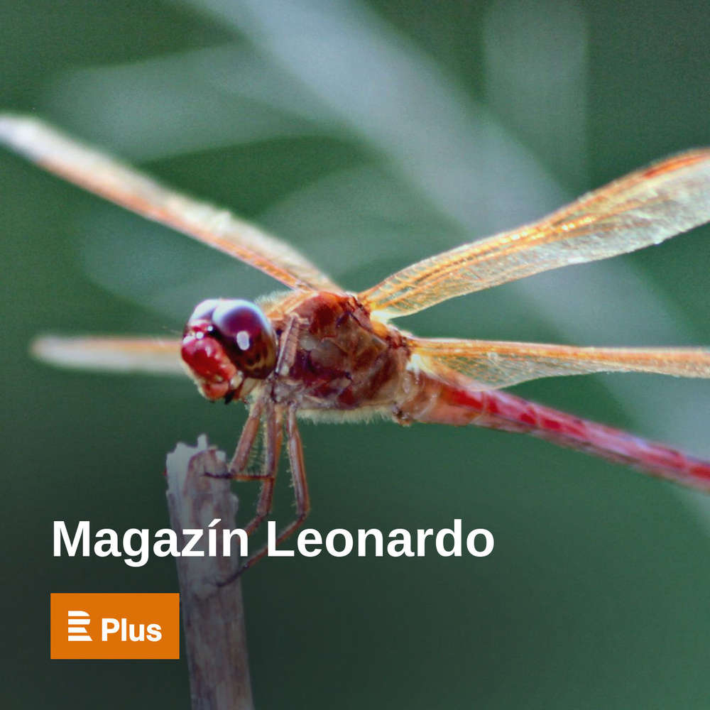 Magazín Leonardo - Umíralo se jak na běžícím pásu, říká o španělské chřipce historik medicíny Sallfellner