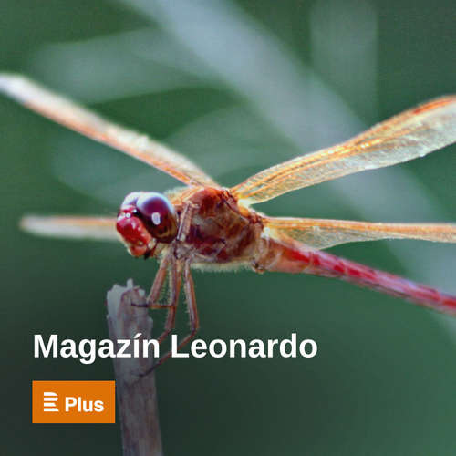 Magazín Leonardo