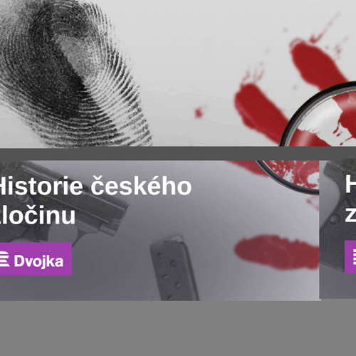 Historie českého zločinu
