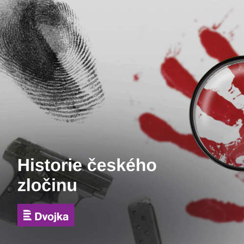 Historie českého zločinu