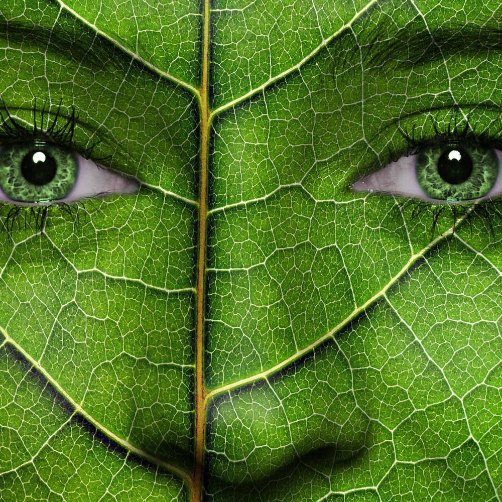Natura