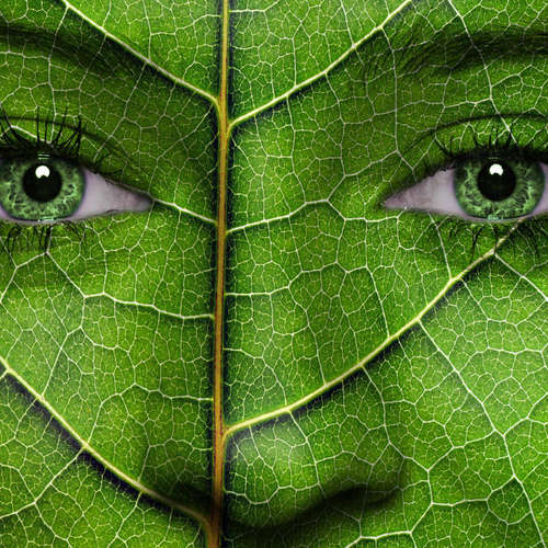 Natura