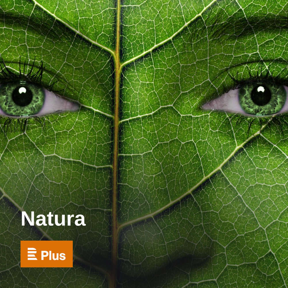 Natura - Vítěz letošního Ekofilmu režisér Jan Svatoš
