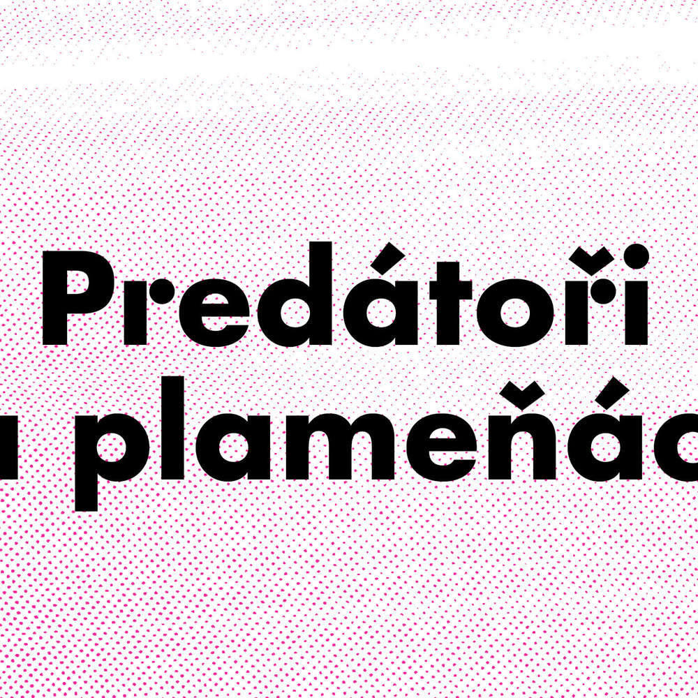 Predátoři a plameňáci