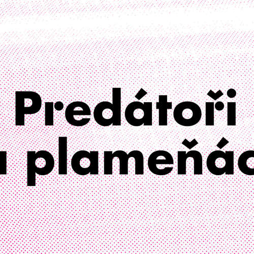 Predátoři a plameňáci