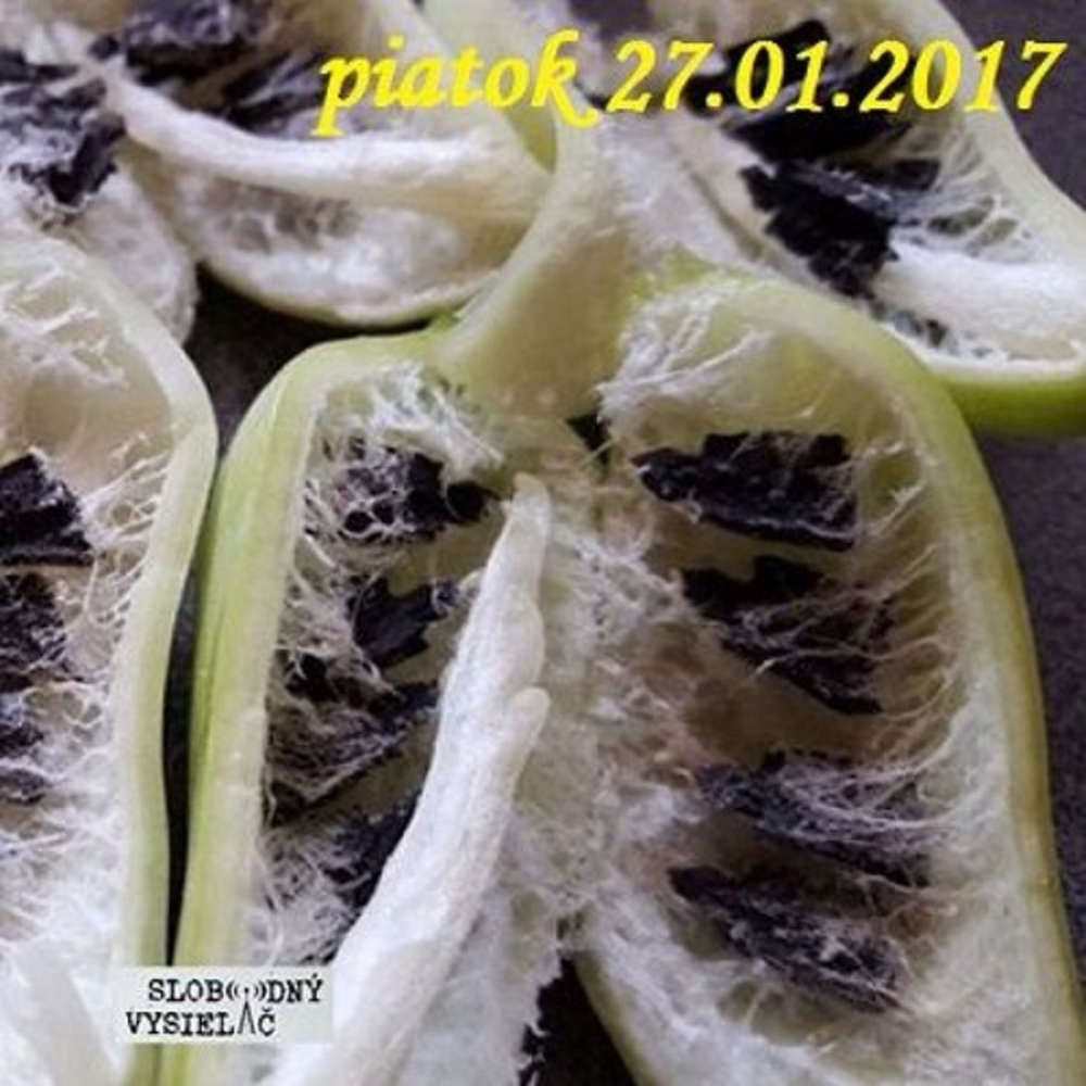 Rie enia a alternativy 04 2017 01 27 AntiGMO Zachrana zdravych semienok