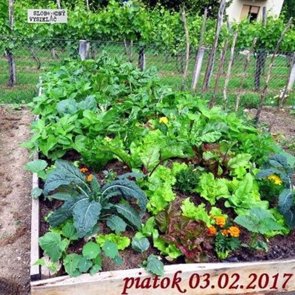 Rie enia a alternativy 05 2017 02 03 Prirodne jedle zahrady