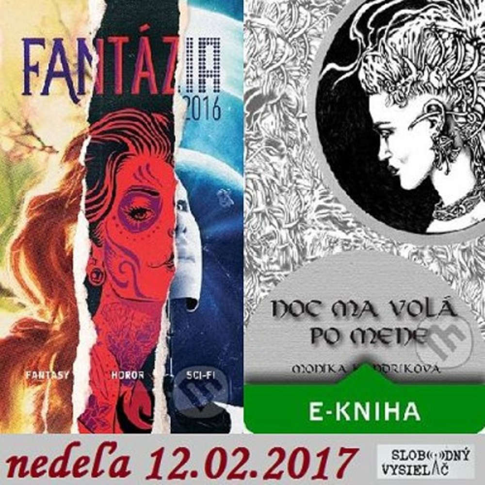 Literarna ajov a 48 2017 02 12 spisovate ka Monika Kandrikova