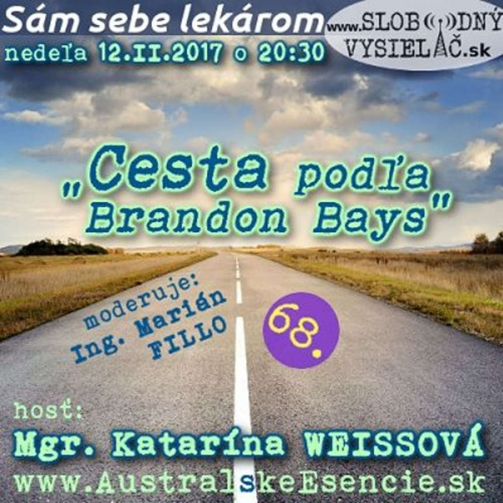 Sam sebe lekarom 68 2017 02 12 Cesta pod a Brandon Bays
