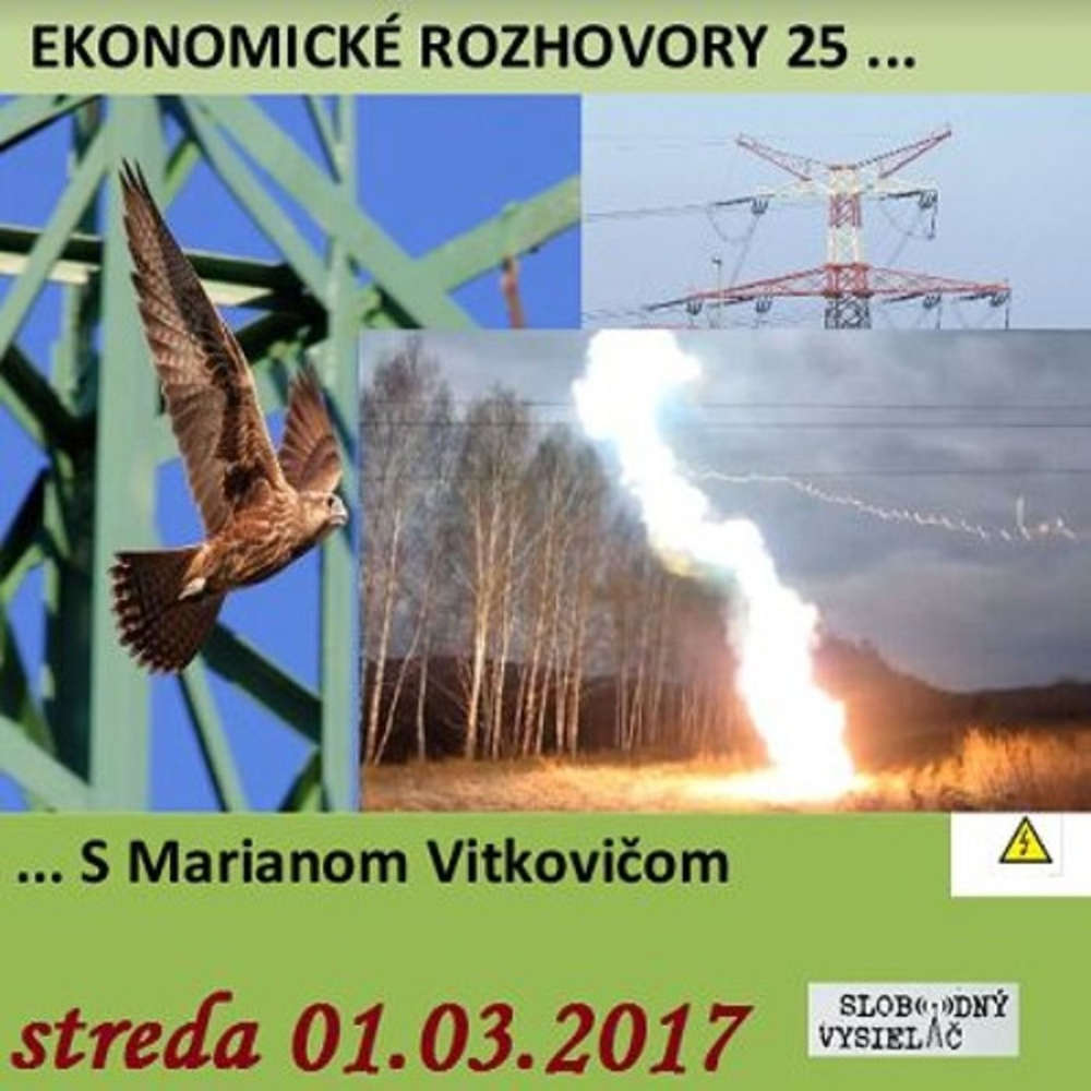 Ekonomicke rozhovory 25 2017 03 01 Vysoke napatie v energetike a ine