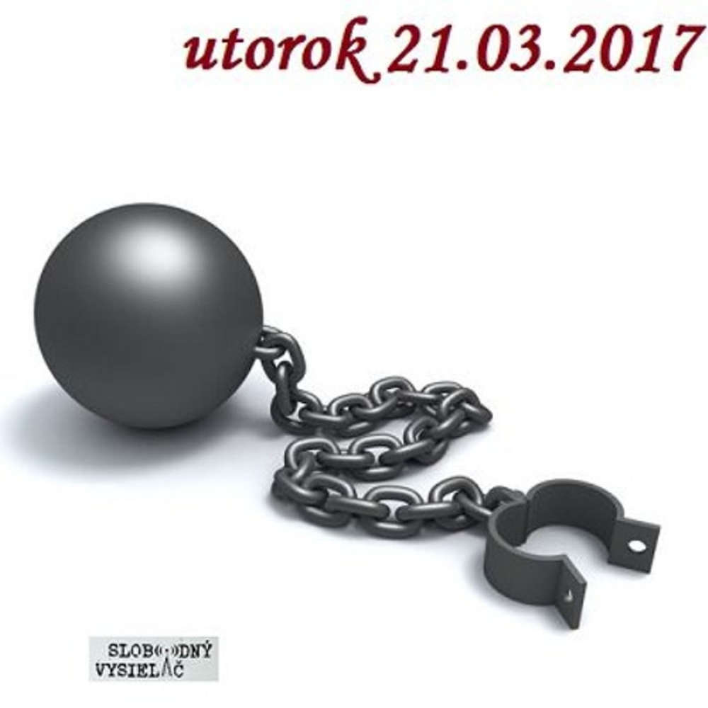 Ob iansky sud 01 2017 03 21 Vladimir Me iar a jeho amnestie
