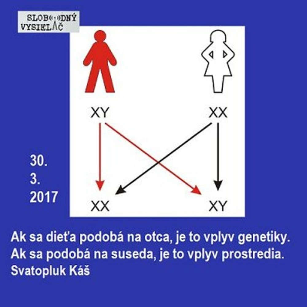 Opony 167 2017 03 30 Genetika v psychiatrii