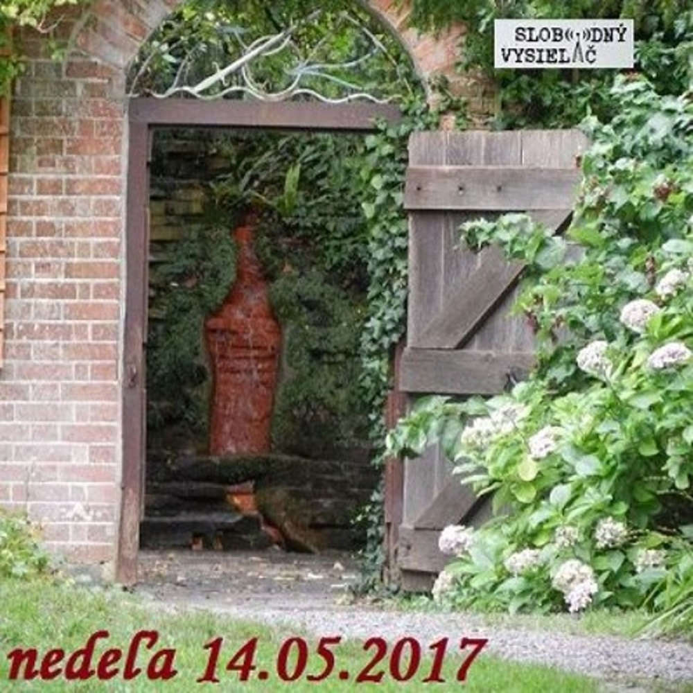 Ornament 09 2017 05 14 Sebelaska