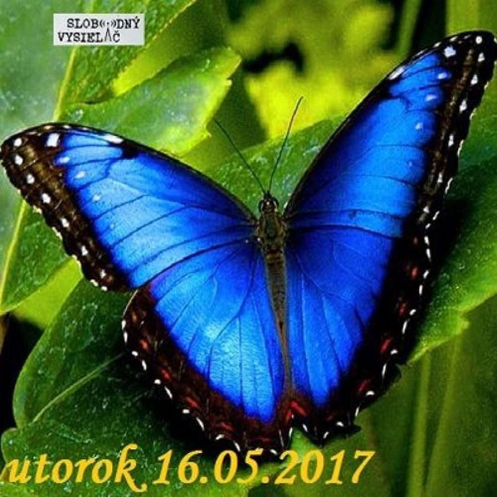 Finan ne zdravie 32 2017 05 16 ivot je zmena